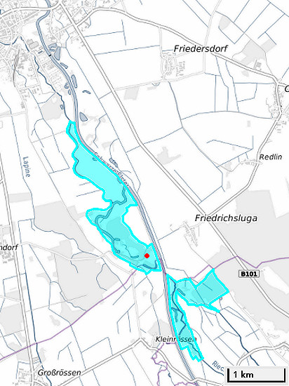 Alte Elster und Rieke © BfN