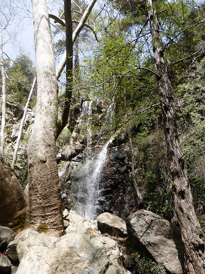 Kaledonischer Wasserfall, der hinter den Felsen in ein kleines Becken stürzt