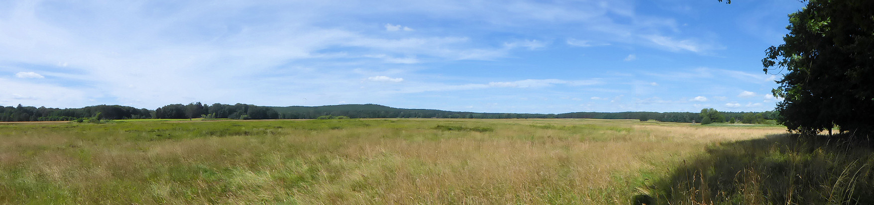 Panorama - Behlower Wiesen