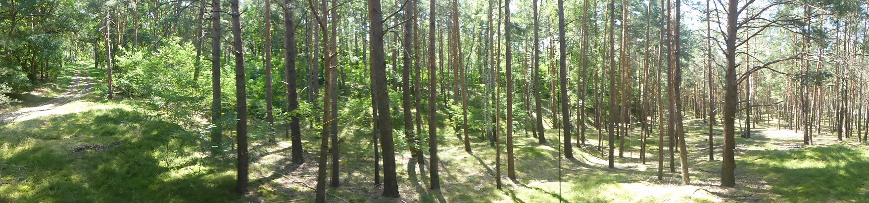 Panorama - Streganzer Berg