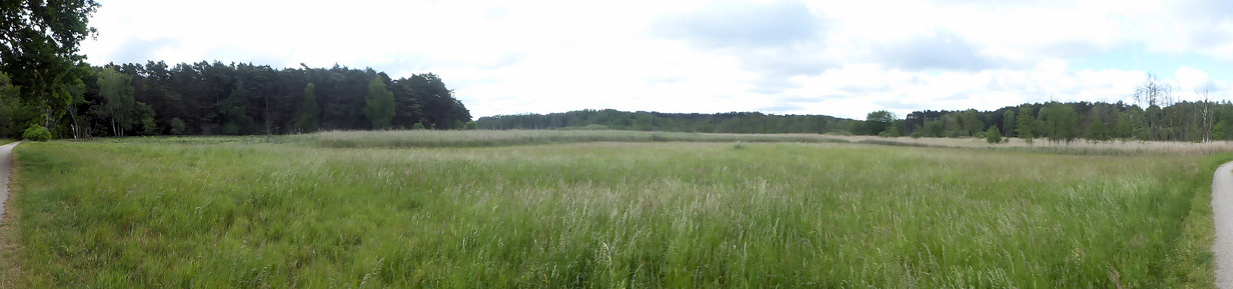 Panorama - Burger Wiesen