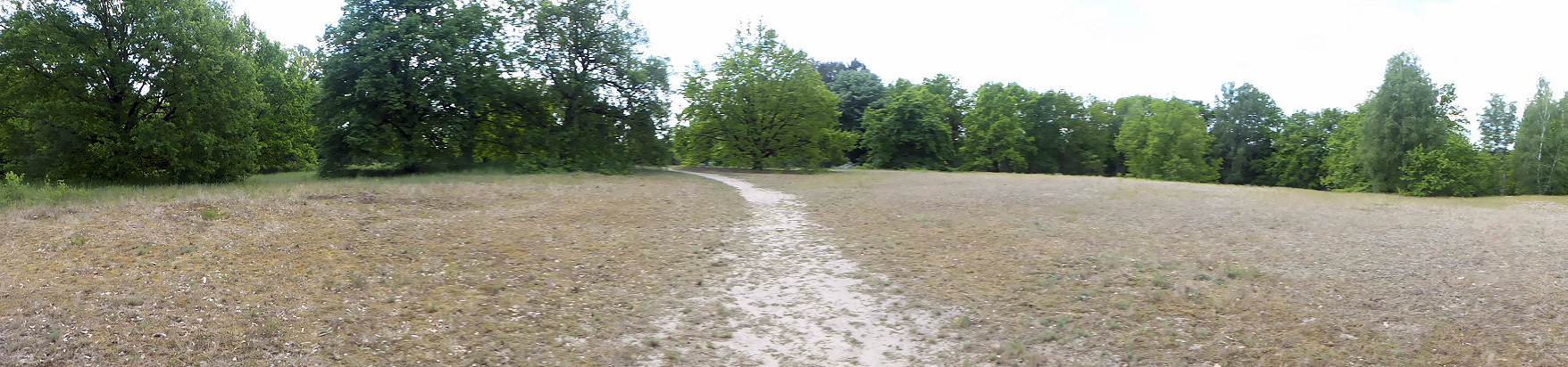 Panorama - Sandtrockenrasenflächen auf dem Windmühlenberg