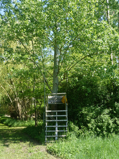 Standort DLFF-0952
