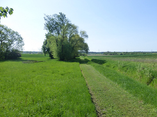 Blick vom Hochsitz zum Landiner Haussee