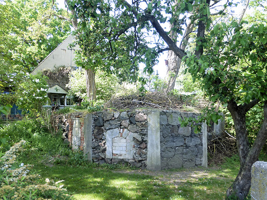 Kellergewölbe des ehemaliges Schlosses in Niederlandin