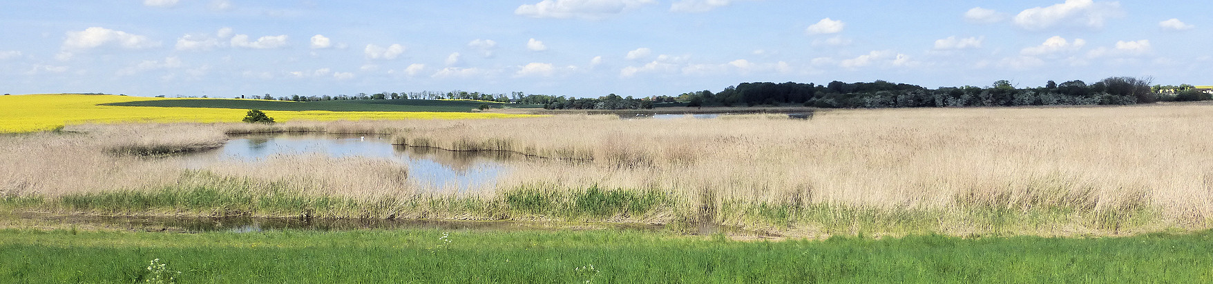 Panorama - Blick von Süden über den Landiner Haussee