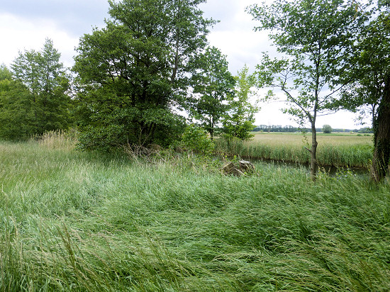 Nordufer des Storkower Kanals