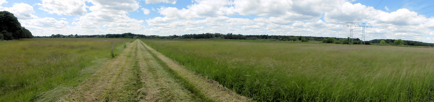 Panorama - Luchwiesen mit Fahrweg