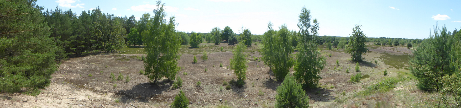 Panorama - Kleine Schorfheide