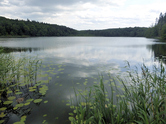 Krienkowsee