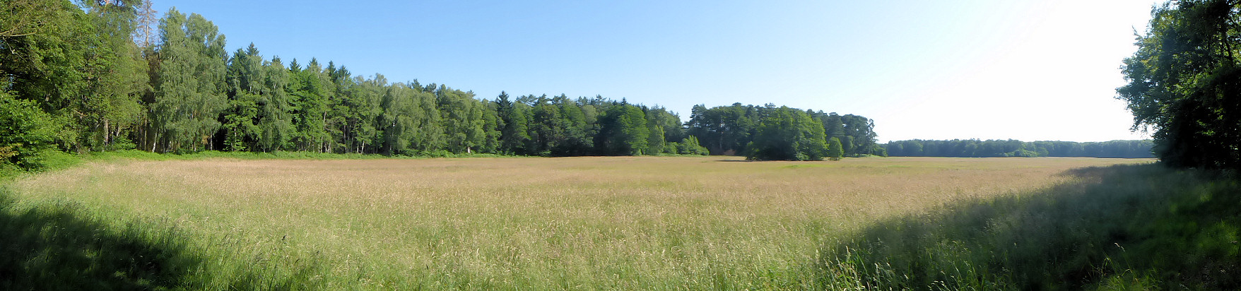 Panorama - Rohrbruchwiesen