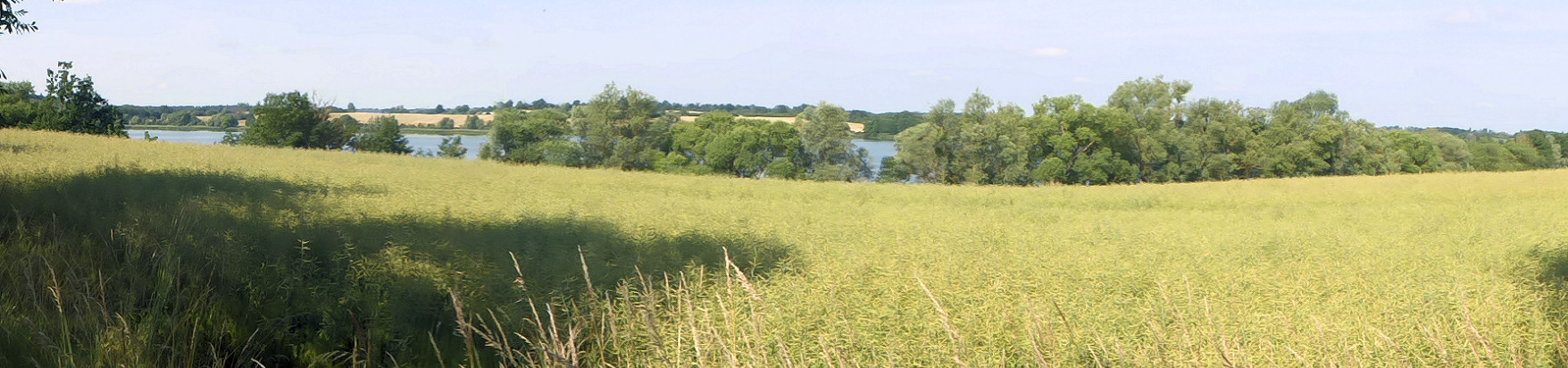 Panorama - Großer Trebowsee