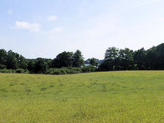 Kuhzer See - Schwalbenlanke