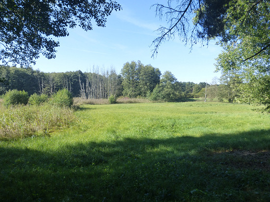 Biesenthaler Becken nahe Wullwinkel