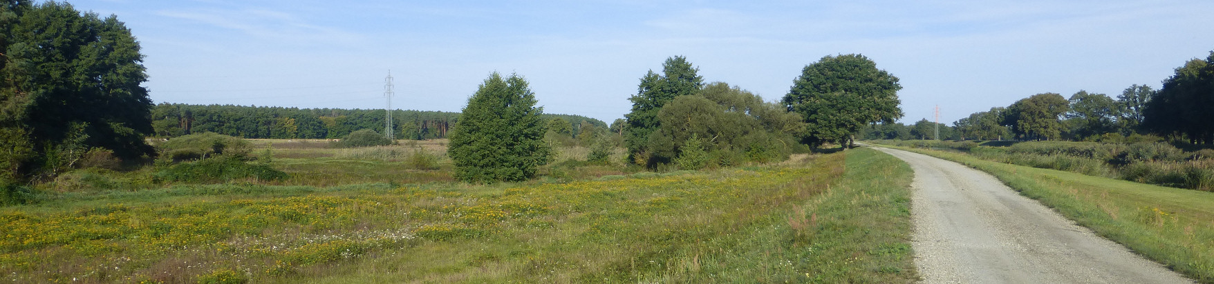 Panorama - Elsteraue bei Arnsnesta
