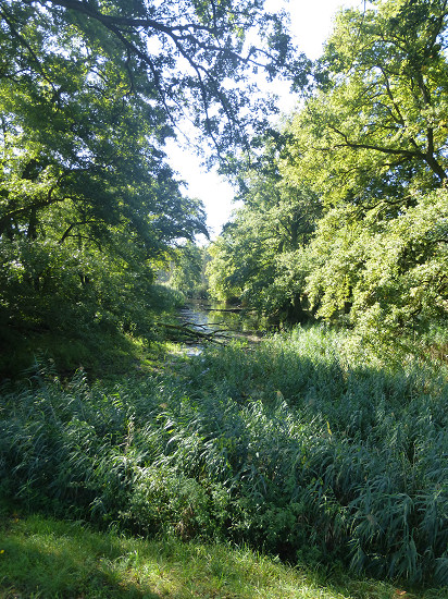 Altarm der Schwarzen Elster