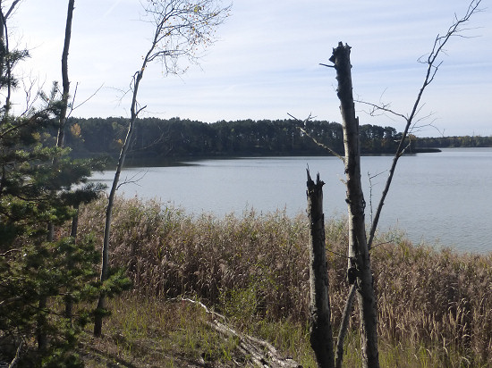Halbinsel in der Talsperre Spremberg